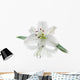 White Lily Flower Wall Decal