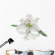White Lily Flower Wall Decal