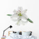 White Lily Flower Wall Decal