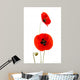 Coquelicots Da Toura S Wall Decal