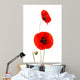 Coquelicots Da Toura S Wall Decal