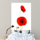 Coquelicots Da Toura S Wall Decal