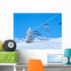 Skiing Slope Wall Mural