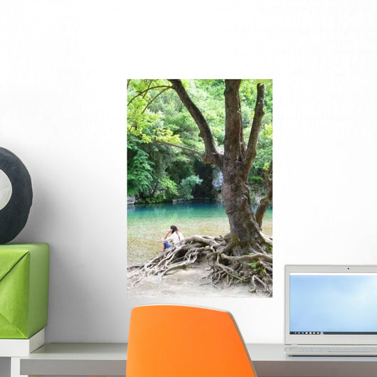 Am Eiskalten Voidomatis Wall Decal