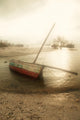 Dhow Sailing and Fishing Boat Wall Mural