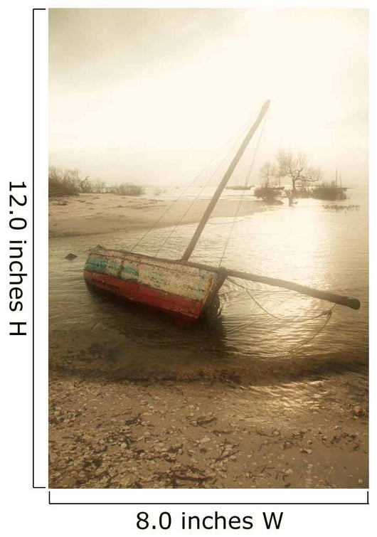 Dhow Sailing and Fishing Boat Wall Mural