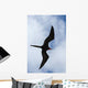 Male Magnificent Frigatebird Fills