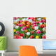 Tulips Garden Wall Mural