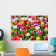 Tulips Garden Wall Mural