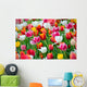 Tulips Garden Wall Mural