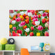 Tulips Garden Wall Mural