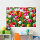 Tulips Garden Wall Mural