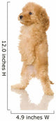 Apricot Poodle puppy in front of a white background Wall Decal