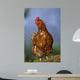 Oh Beautiful Hen Wall Decal
