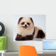 Spitz-dog Painted under Panda Wall Mural