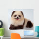 Spitz-dog Painted under Panda Wall Mural