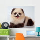 Spitz-dog Painted under Panda Wall Mural