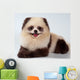 Spitz-dog Painted under Panda Wall Mural