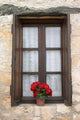 Old Window with Flower