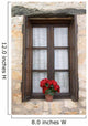 Old Window with Flower