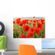 Poppy fields Wall Mural