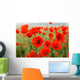 Poppy fields Wall Mural