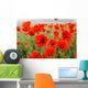 Poppy fields Wall Mural