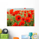 Poppy fields Wall Mural