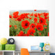 Poppy fields Wall Mural