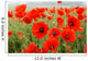 Poppy fields Wall Mural