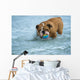 Happy Dog Bulldog Playing Wall Mural