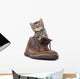 Cute Kitten Old Boot