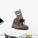 Cute Kitten Old Boot