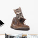 Cute Kitten Old Boot