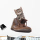 Cute Kitten Old Boot