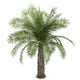 Palm Tree White Wall Decal