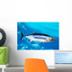 Albacore Tuna Fish Thunnus