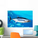 Albacore Tuna Fish Thunnus