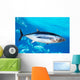 Albacore Tuna Fish Thunnus