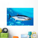 Albacore Tuna Fish Thunnus