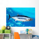 Albacore Tuna Fish Thunnus
