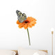Tropical Butterfly Flower Wall Decal