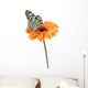 Tropical Butterfly Flower Wall Decal