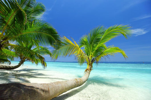 Palm Beach