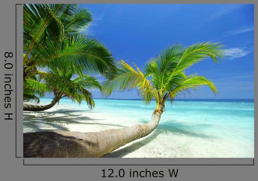 Palm Beach