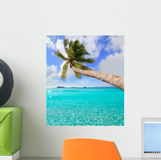 Palm Tree Tropical Perfect