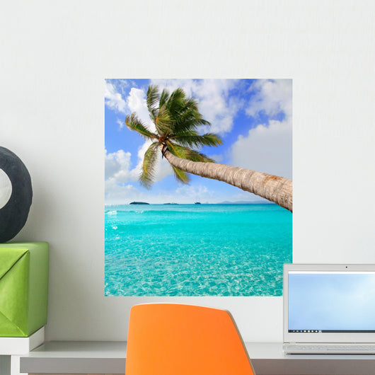 Palm Tree Tropical Perfect