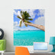Palm Tree Tropical Perfect
