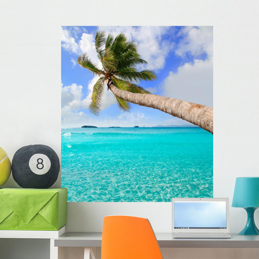 Palm Tree Tropical Perfect