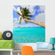 Palm Tree Tropical Perfect